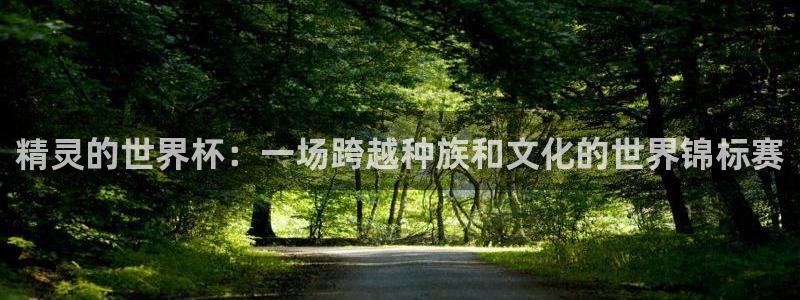 2026世界杯直播免费观看：精灵的世界杯：一场跨越种族和文化的世界锦标赛