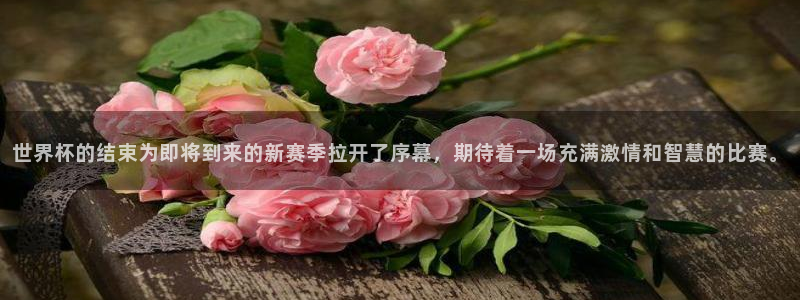 2026世界杯赛程表完整版：世界杯的结束为即将到来的新赛季拉开了序幕，期待着一场充满激情和智慧的比赛。