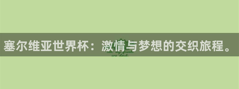 国际足联世界杯：塞尔维亚世界杯：激情与梦想的交织旅程。