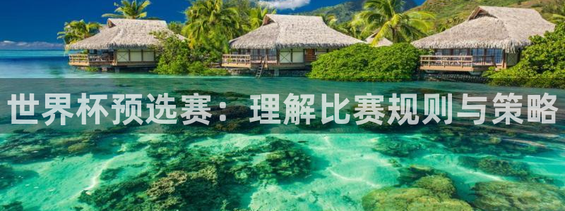 英足总杯直播：世界杯预选赛：理解比赛规则与策略