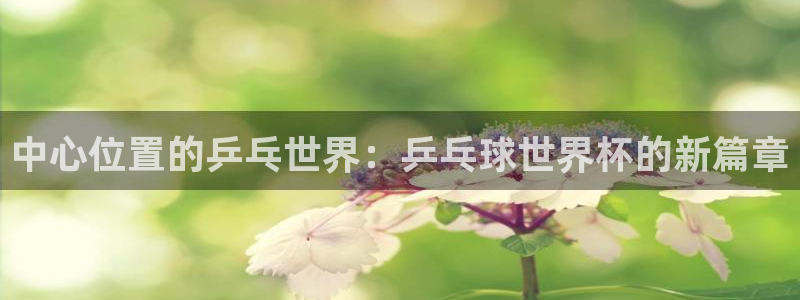 世界杯预选赛亚洲区积分榜：中心位置的乒乓世界：乒乓球世界杯的新篇章