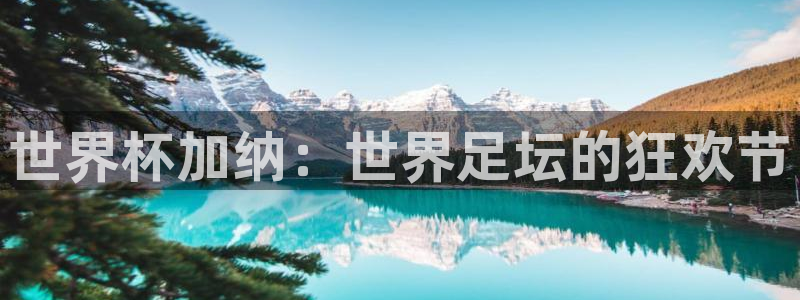 世界杯16强赛程表：世界杯加纳：世界足坛的狂欢节