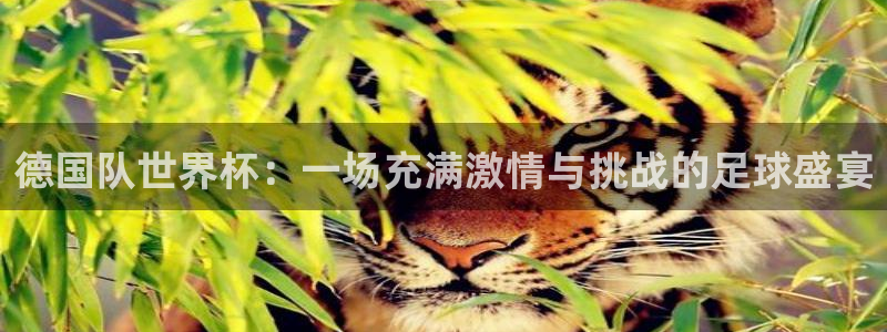 亚洲杯足球：德国队世界杯：一场充满激情与挑战的足球盛宴