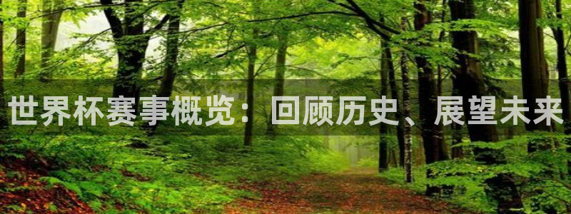 世界杯葡萄牙赛程：世界杯赛事概览：回顾历史、展望未来