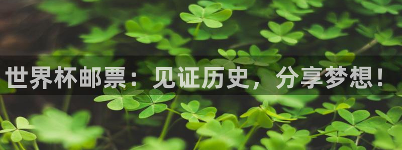 2026世预赛全部赛程：世界杯邮票：见证历史，分享梦想！
