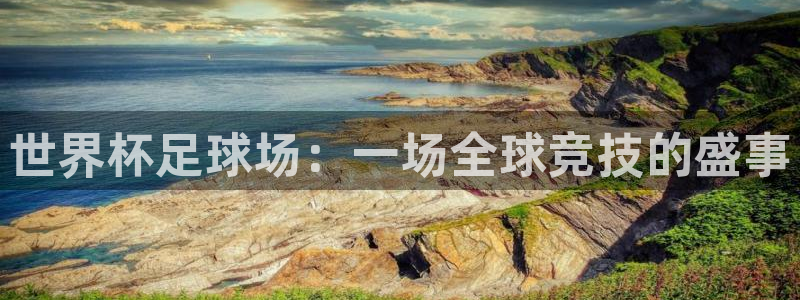 世界杯女足直播：世界杯足球场：一场全球竞技的盛事