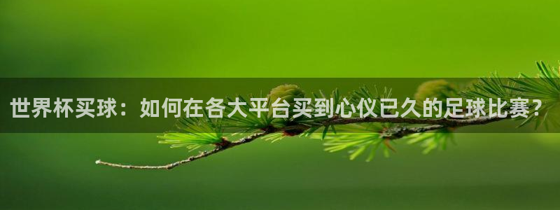 世界杯欧洲预选赛：世界杯买球：如何在各大平台买到心仪已久的足球比赛？