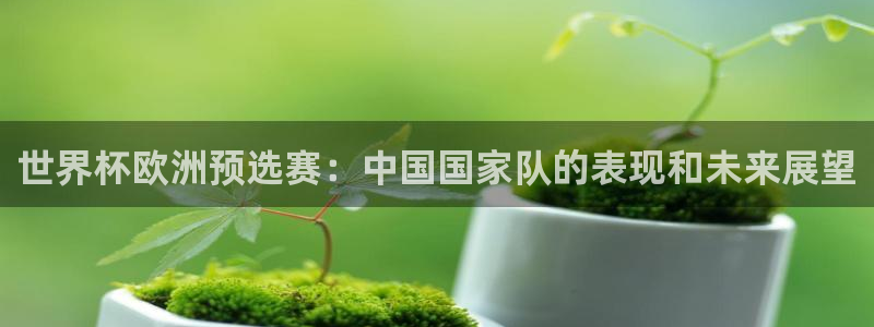 世界杯2026赛程：世界杯欧洲预选赛：中国国家队的表现和未来展望