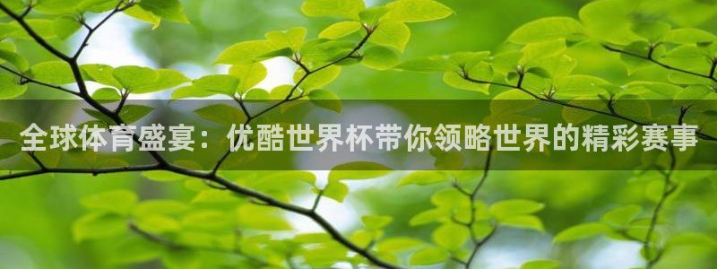 足球世界杯时间：全球体育盛宴：优酷世界杯带你领略世界的精彩赛事