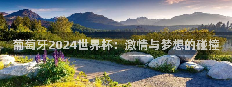 2026世界杯直播：葡萄牙2024世界杯：激情与梦想的碰撞