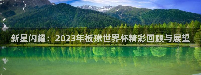 世界杯预选赛排名：新星闪耀：2023年板球世界杯精彩回顾与展望
